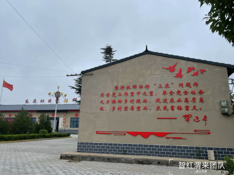 合阳县和家庄镇东马社区：红色基因赋能乡村振兴的“和美画卷”